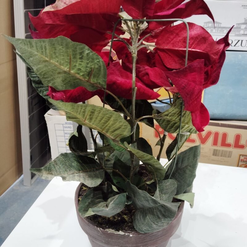 Maceta de flor roja grande