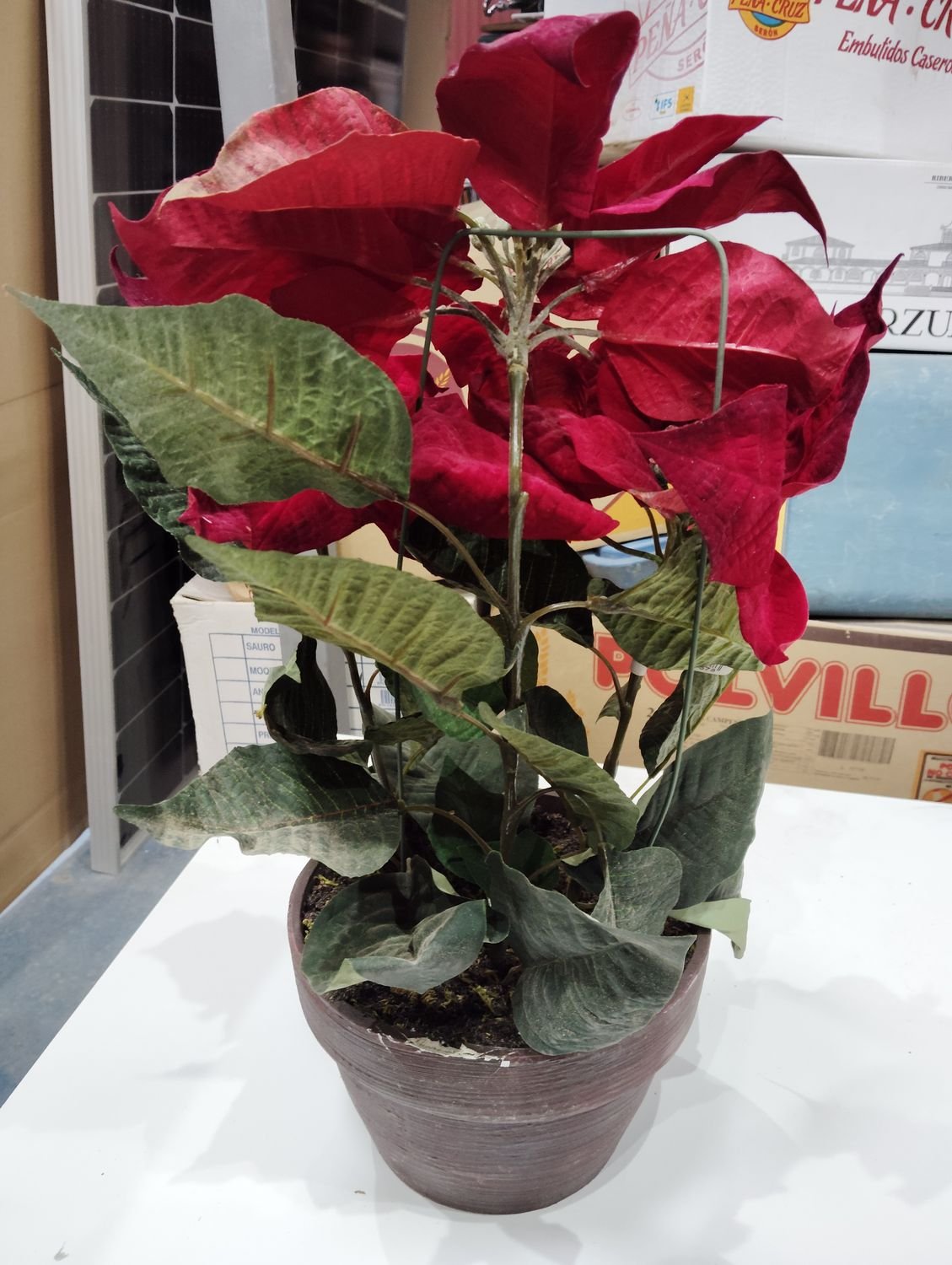 Maceta de flor roja grande